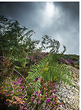 Penrhos Arms Hotel is just over 30 minutes away from the Cambrian Coast